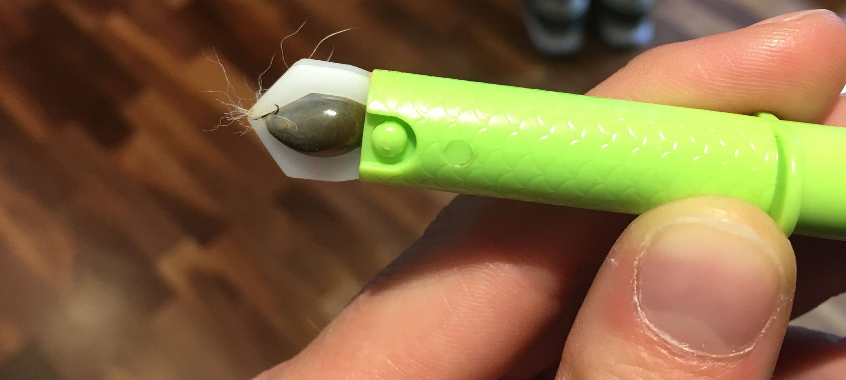 Zecken im Kreis Soest: Schützen und richtig reagieren