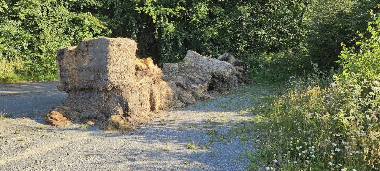 Unbekannte entsorgen Müll im Warsteiner Wald
