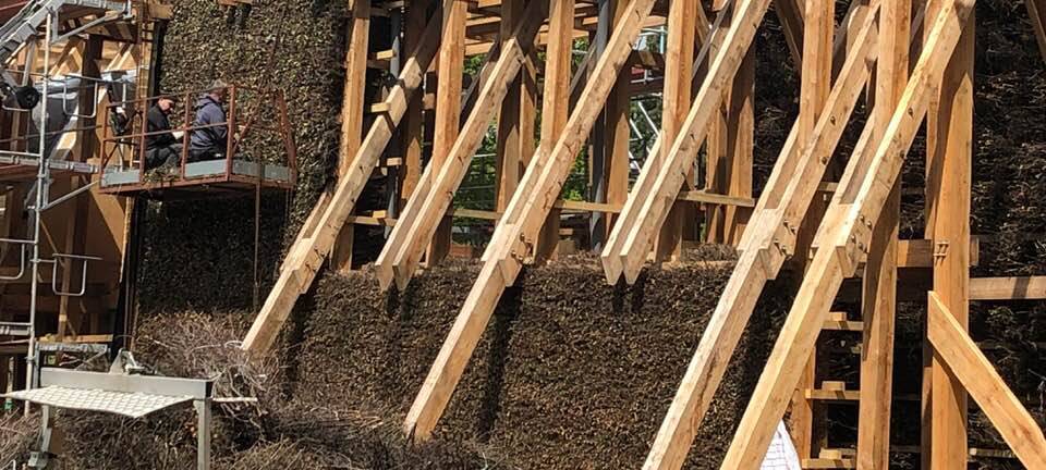 Gradierwerk in Bad Sassendorf bekommt Dornenkleid