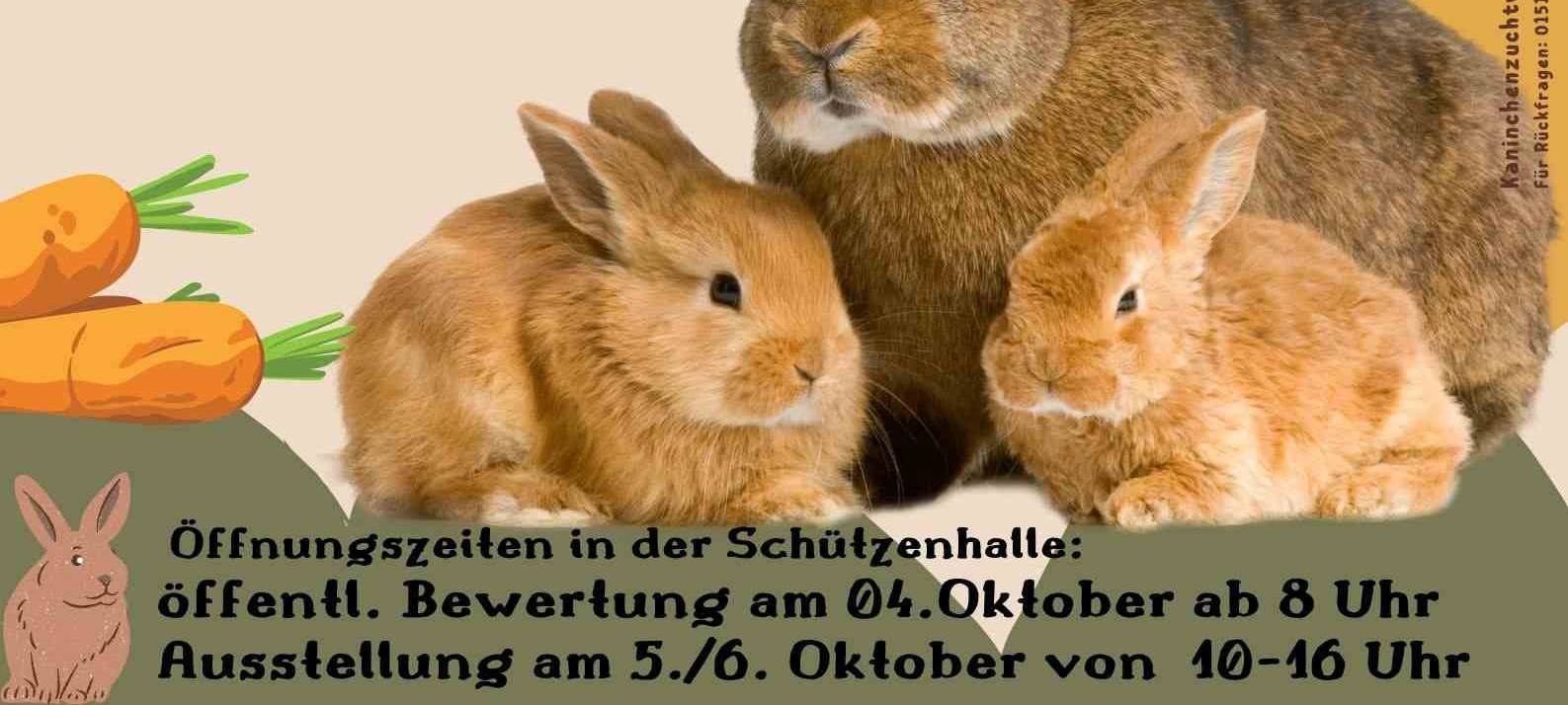 Kaninchenausstellung