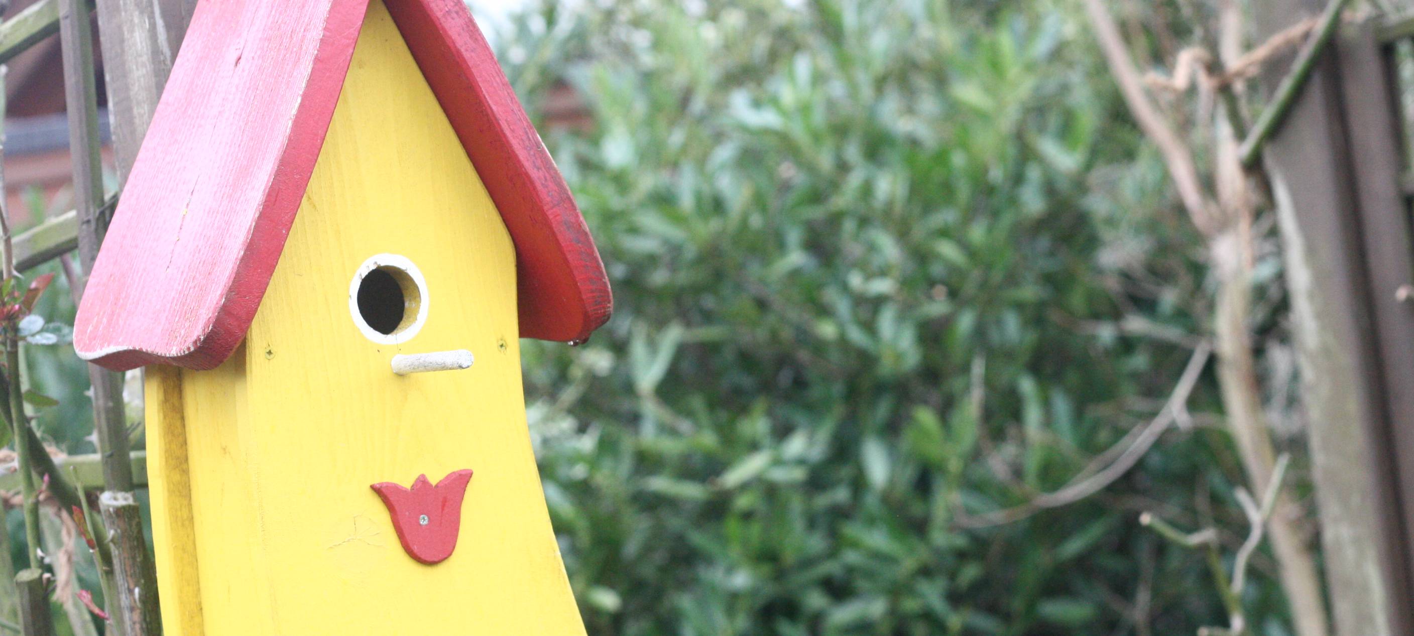 Frühling im Kreis Soest: Was in der Brutzeit wichtig ist