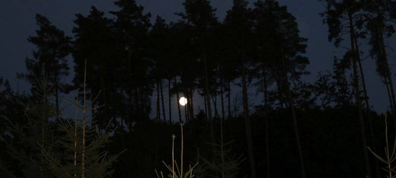 Vollmondwanderung
