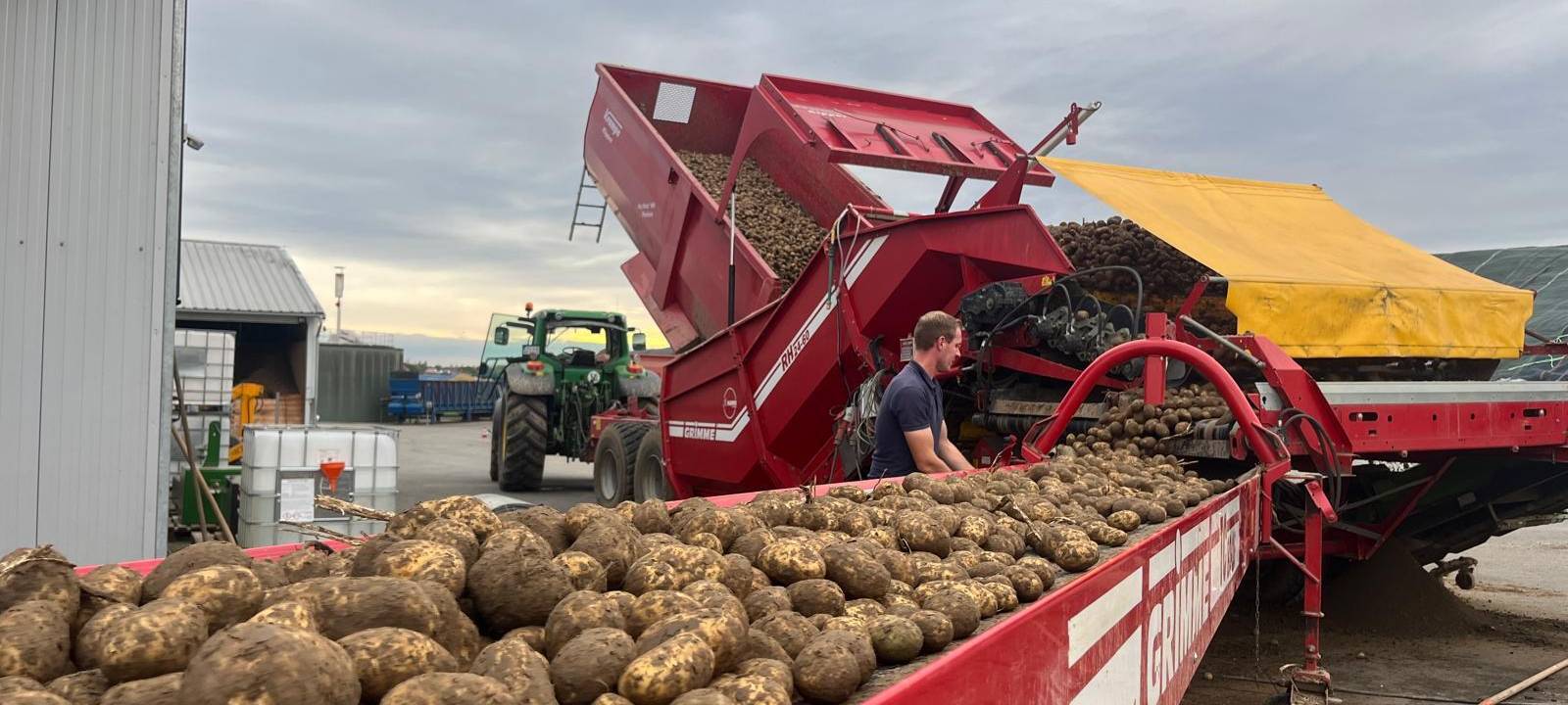 Stoppeln und Alternativen zum Ernten im Kreis Soest