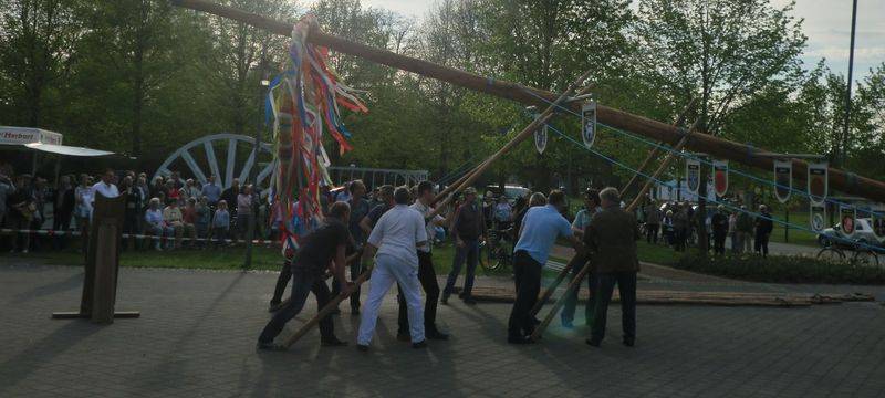 Maibaumaufstellen in Bad Waldliesborn