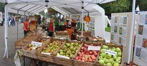 Apfelfest in Bad Waldliesborn