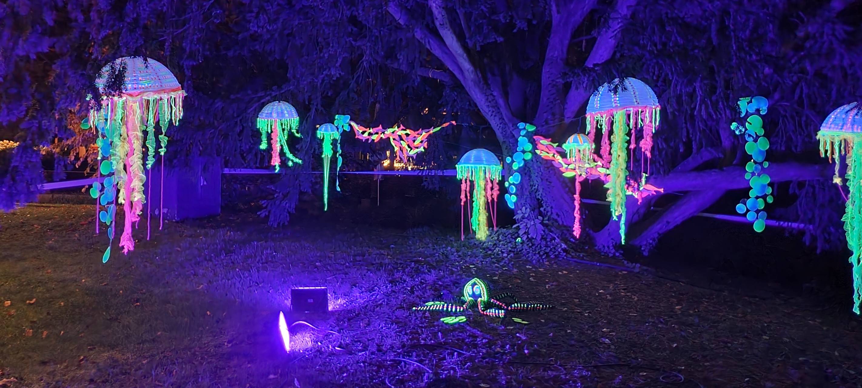 Das Lichtkunstevent "Licht an" mit bunten Illumierungen im Rahmen des Winterfunkelns 2024 im Kurpark Bad Sassendorf.