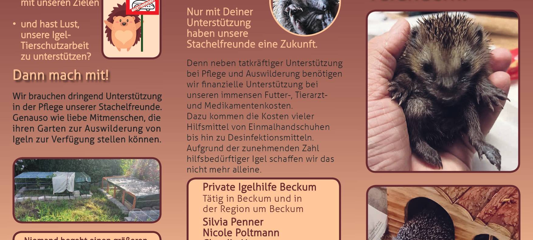 Herbstzeit ist die Igelzeit