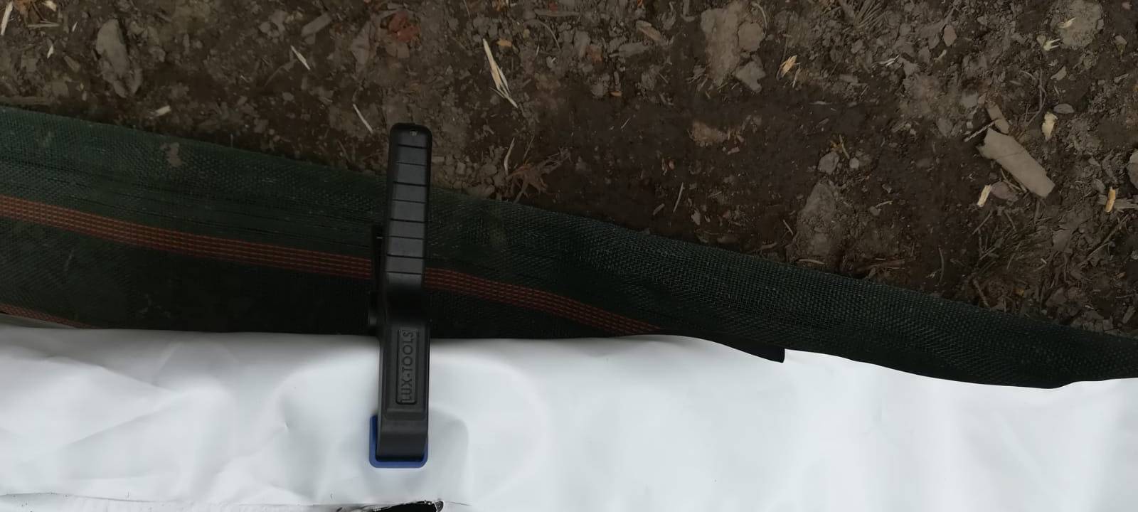 Folien gegen Borkenkäfer