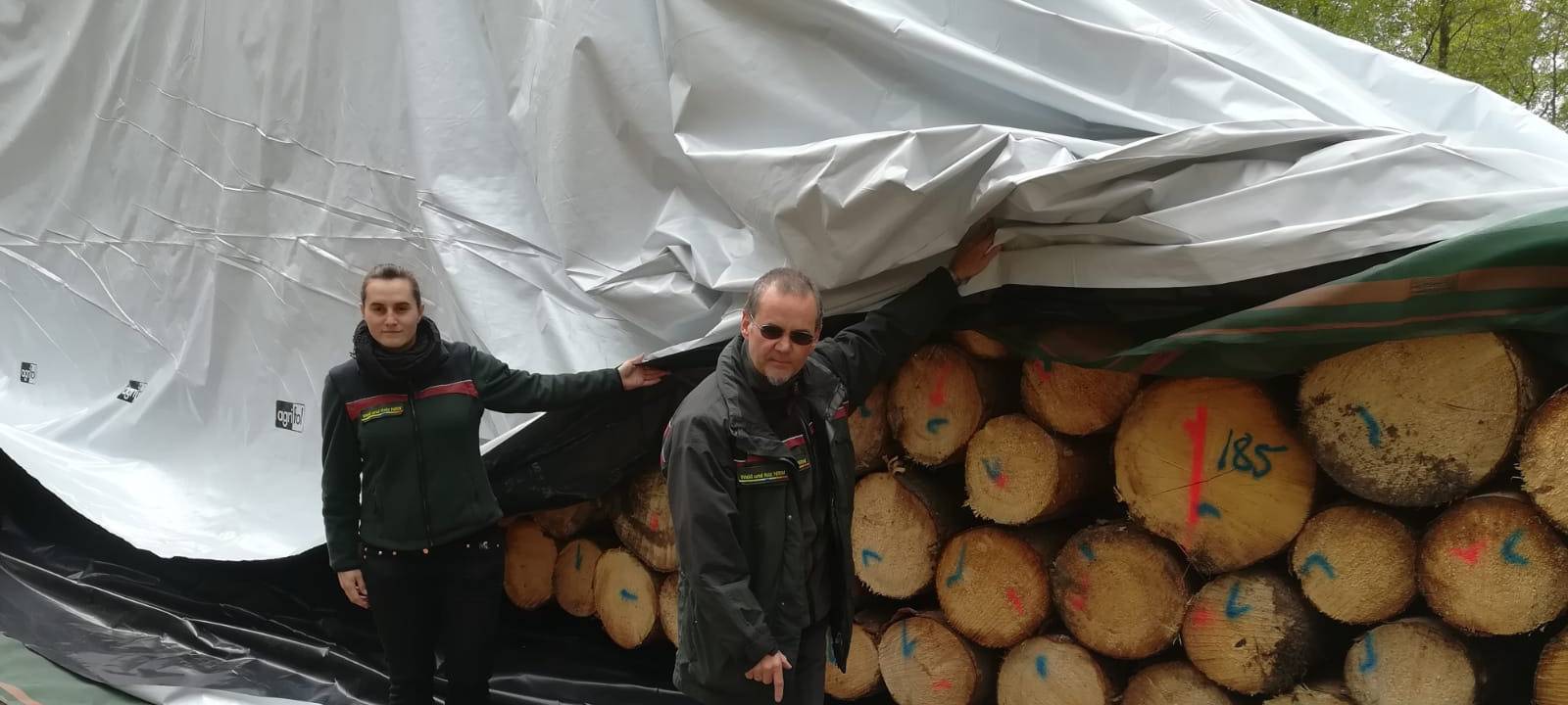 Folien gegen Borkenkäfer