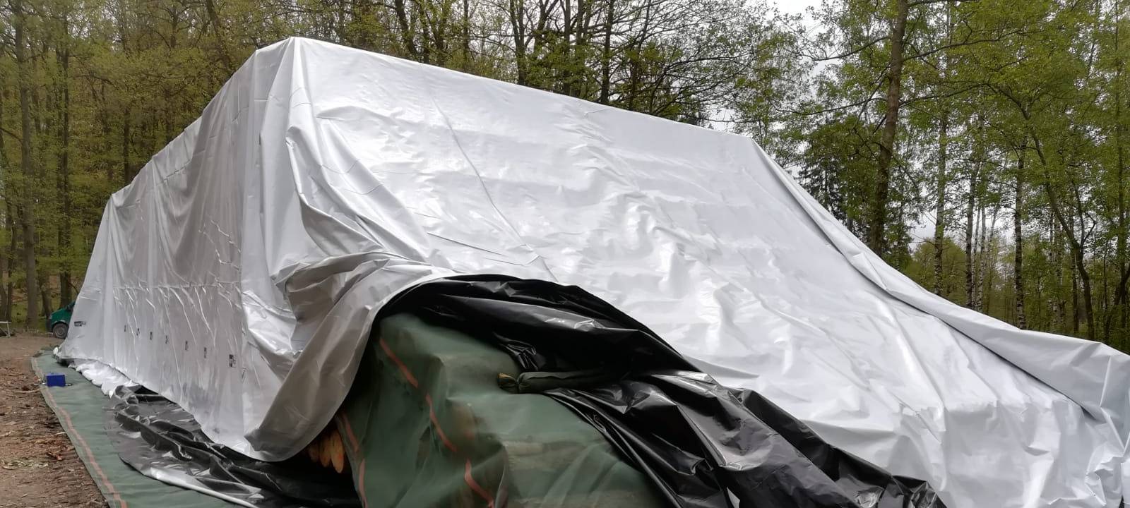 Folien gegen Borkenkäfer