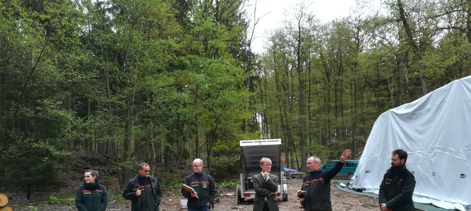 Folien gegen Borkenkäfer