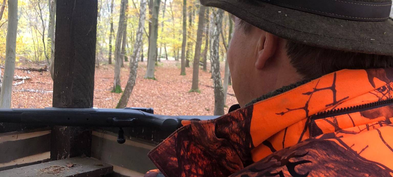 Auf der Jagd: vom Wild zum Weihnachtsbraten