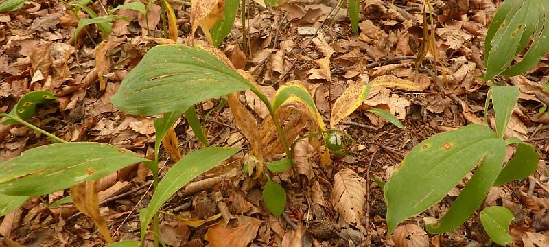 Alles für das Klima.