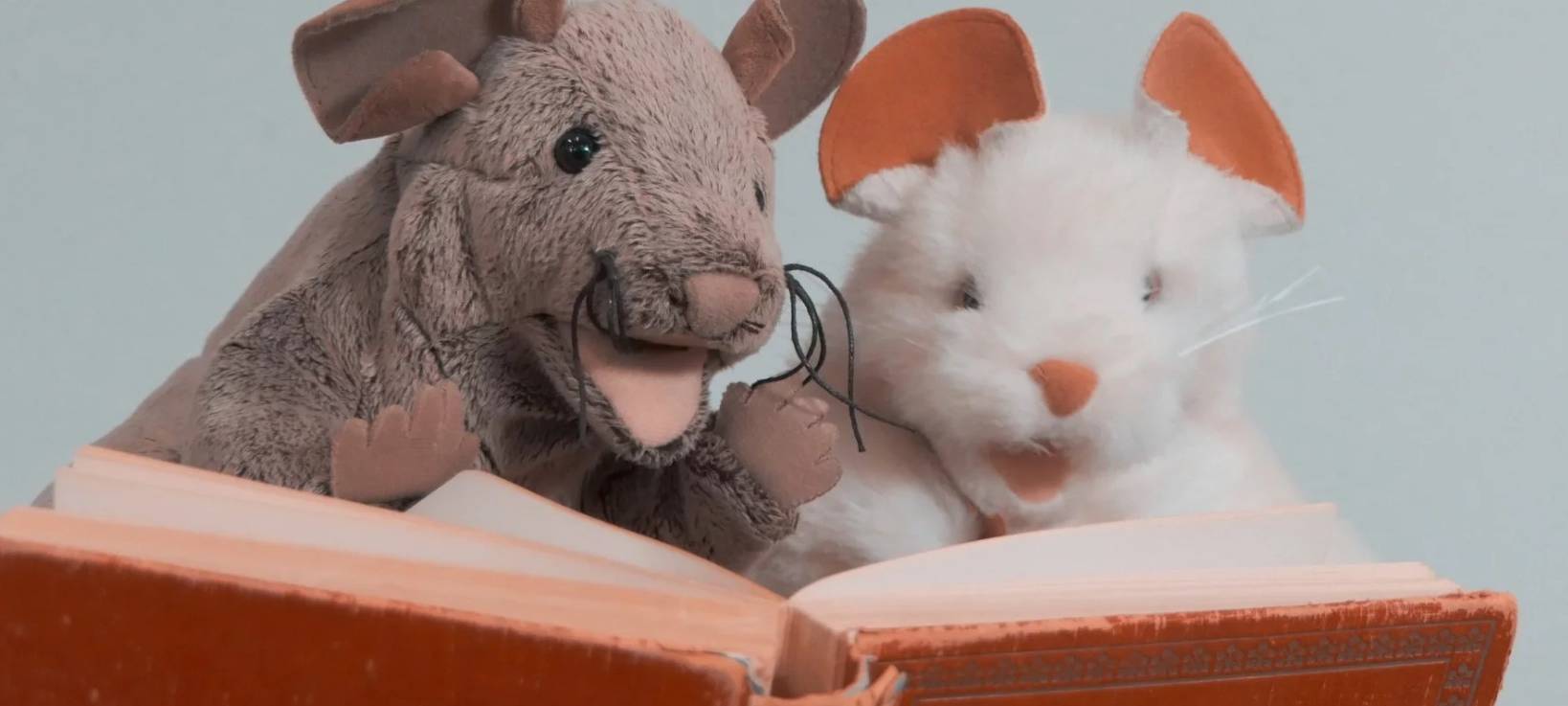 Kinder Bühne: „Die Erfindung der MausKatzoKratie““