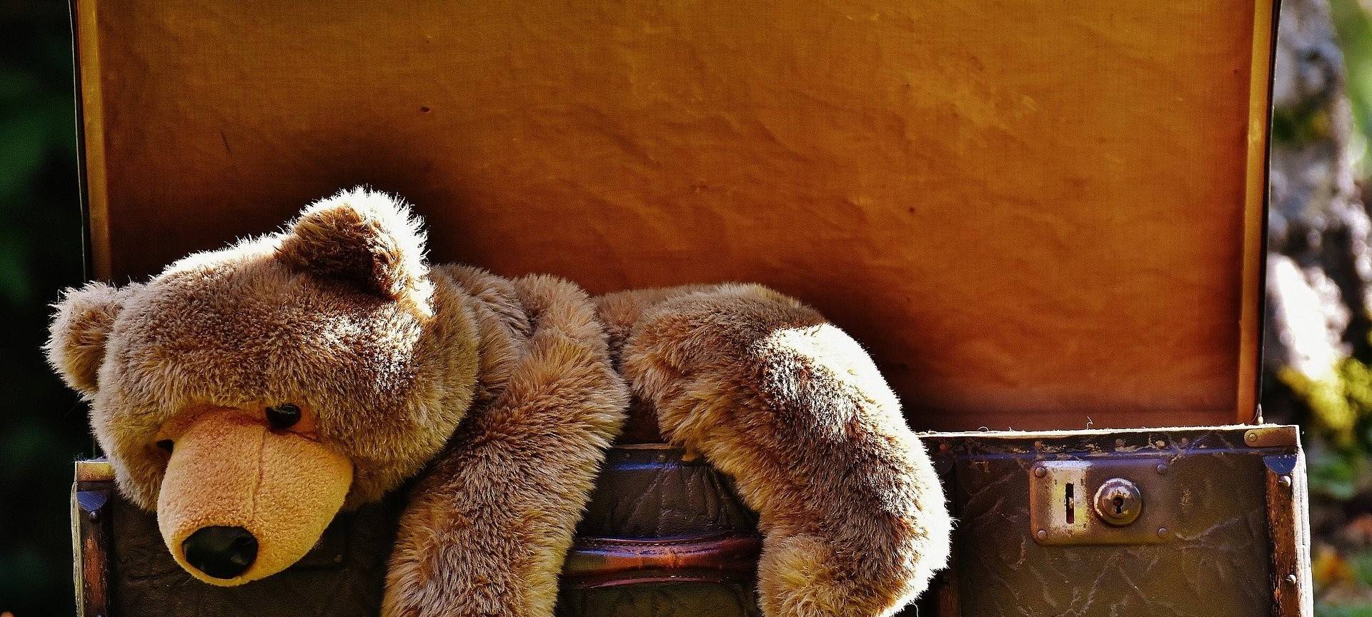 Flohmarkt im Tierheim Soest