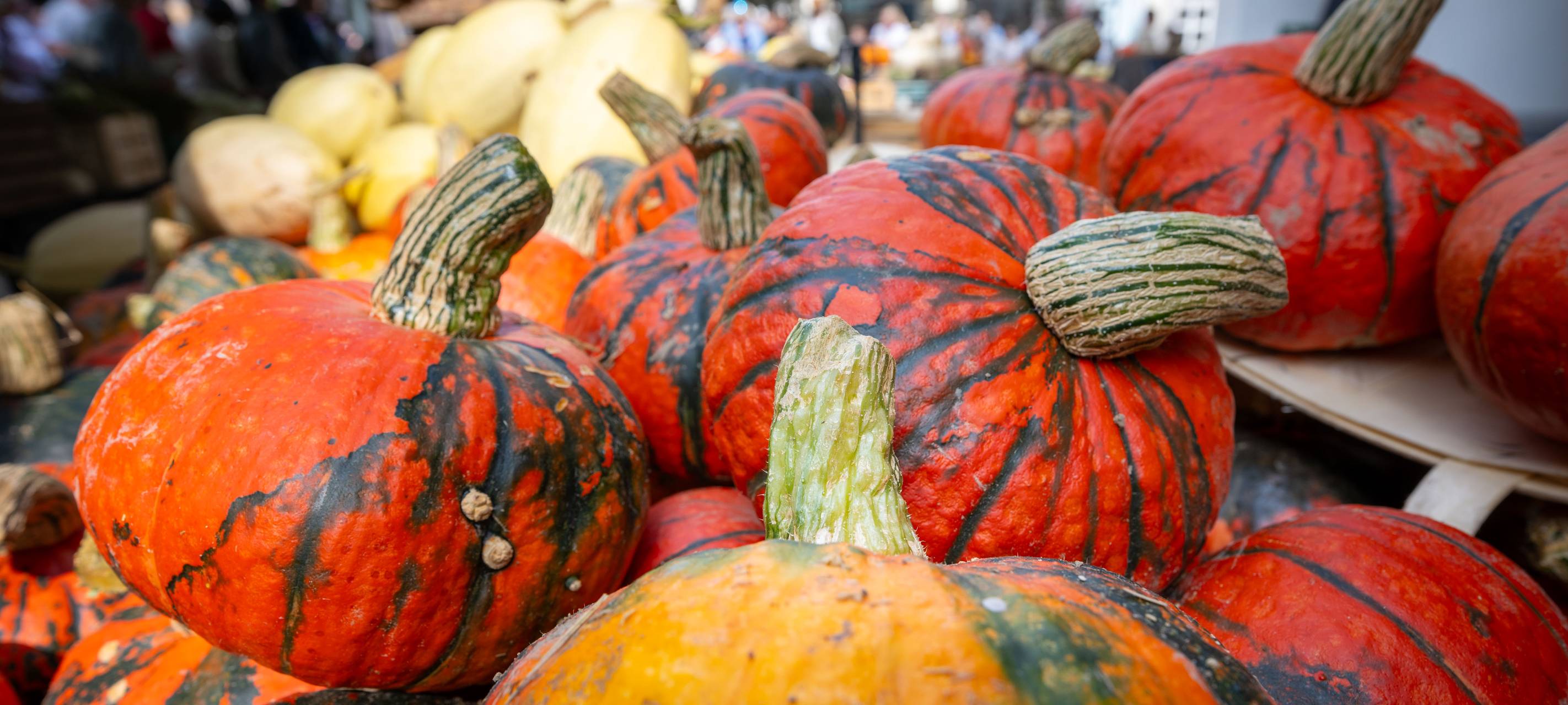 Soester Bördebauernmarkt