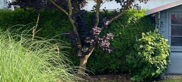 Wettbewerb "Ökologischer Garten" in Lippetal