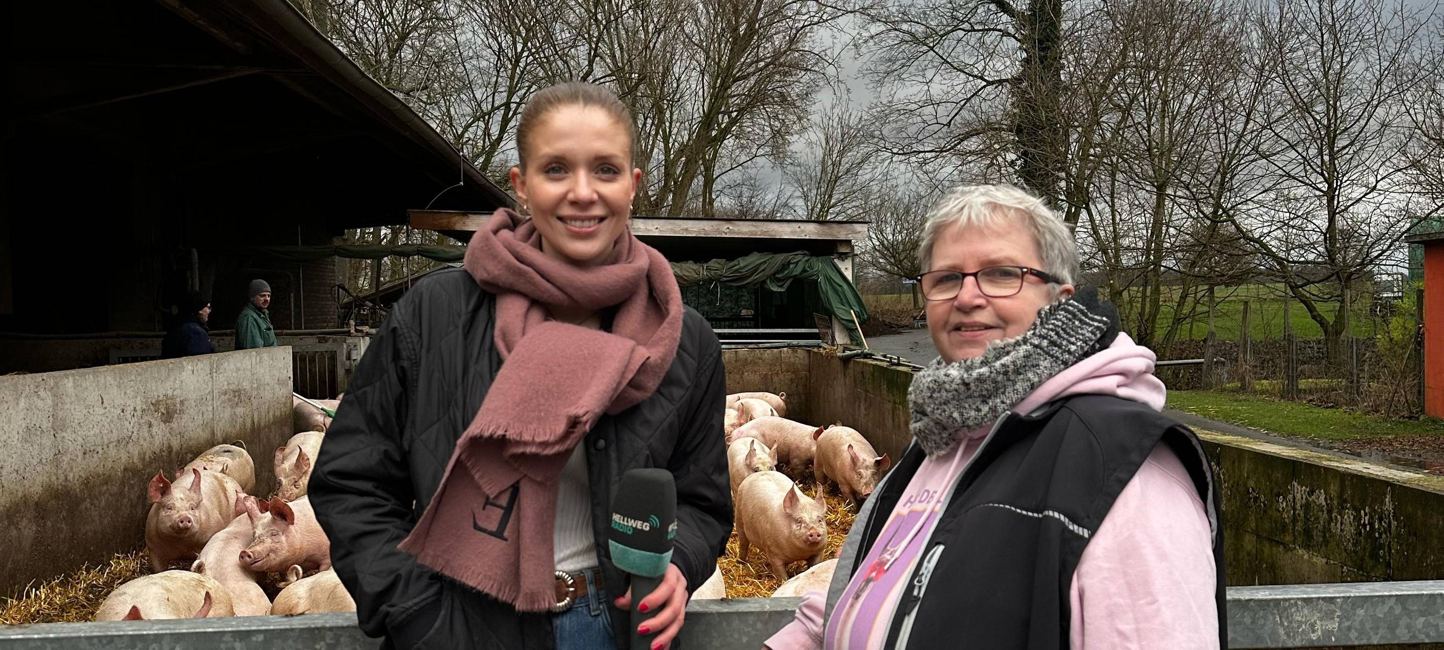 Alarmstufe Rot! Maul- und Klauenseuche: Droht der Ausbruch?