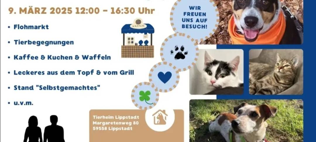 Offener Sonntag im Tierheim Lippstadt
