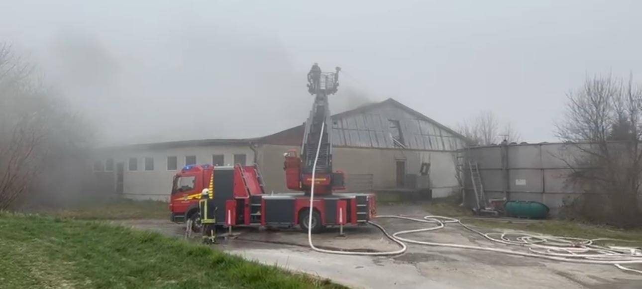 Großbrand im Schweinestall