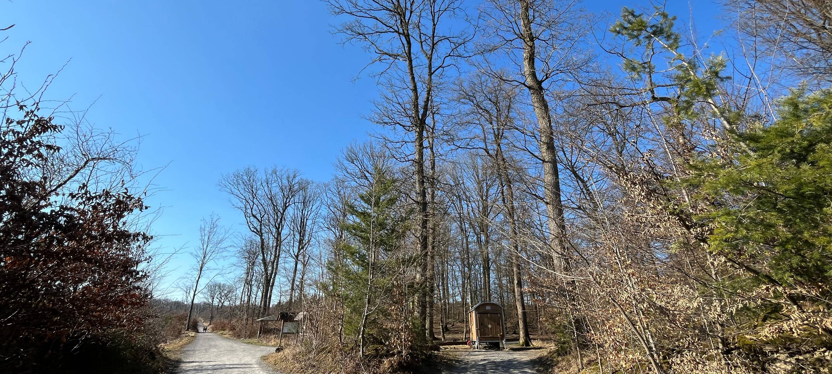 Grundschulverbund Möhnesee wird Naturpark-Schule