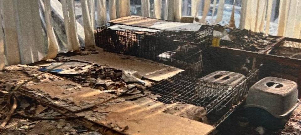 Urteil gegen Ehepaar des "Katzenhauses" gefallen