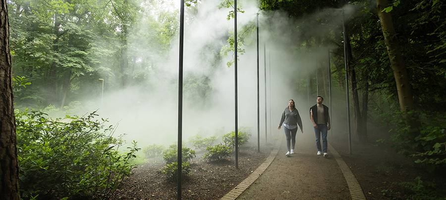 Erfrischung gefällig? Der Nebelweg in Bad Waldliesborn ist zurück