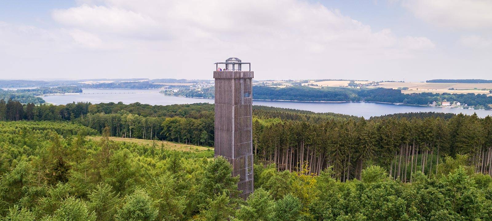 NRW-Aktion: Die Natur erleben im Arnsberger Wald