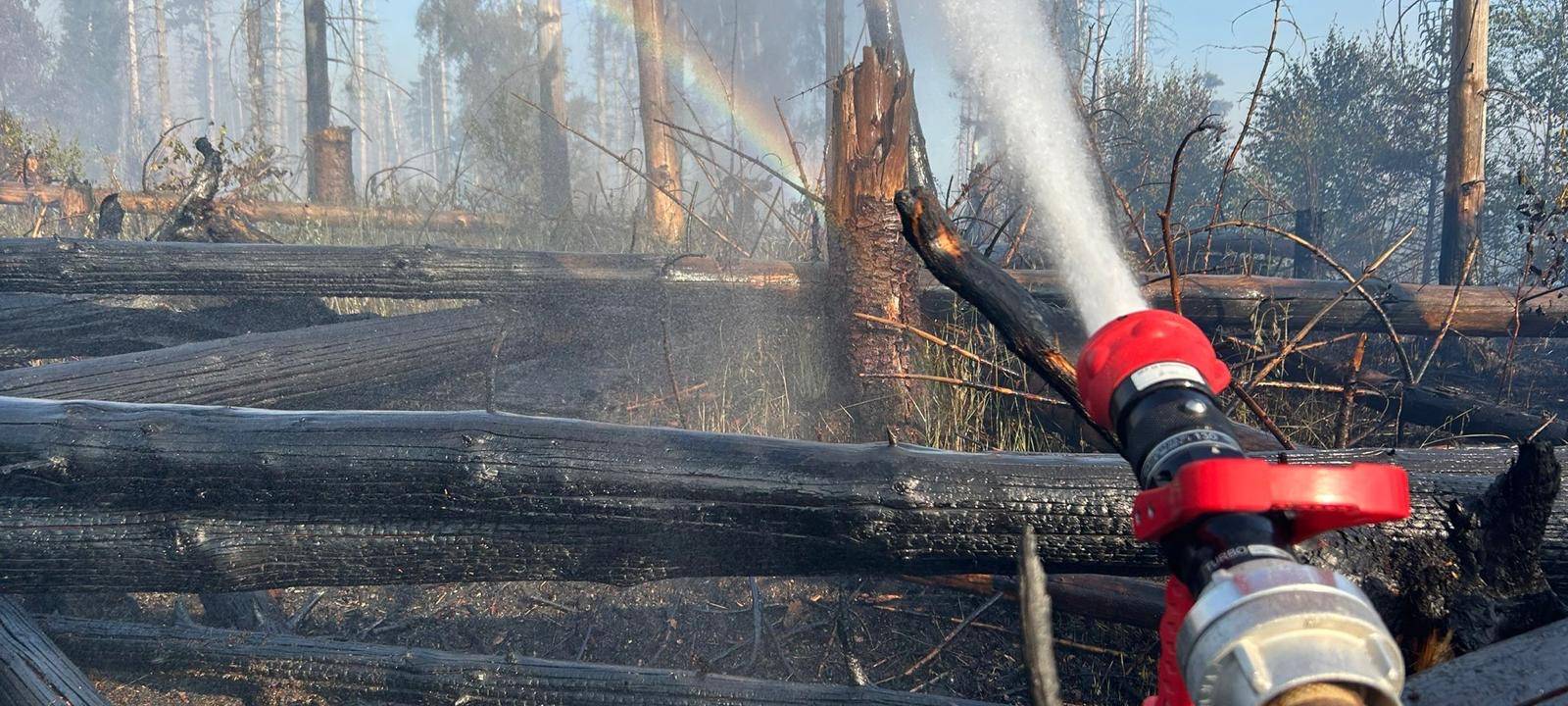 Brandbekämpfung im Wald