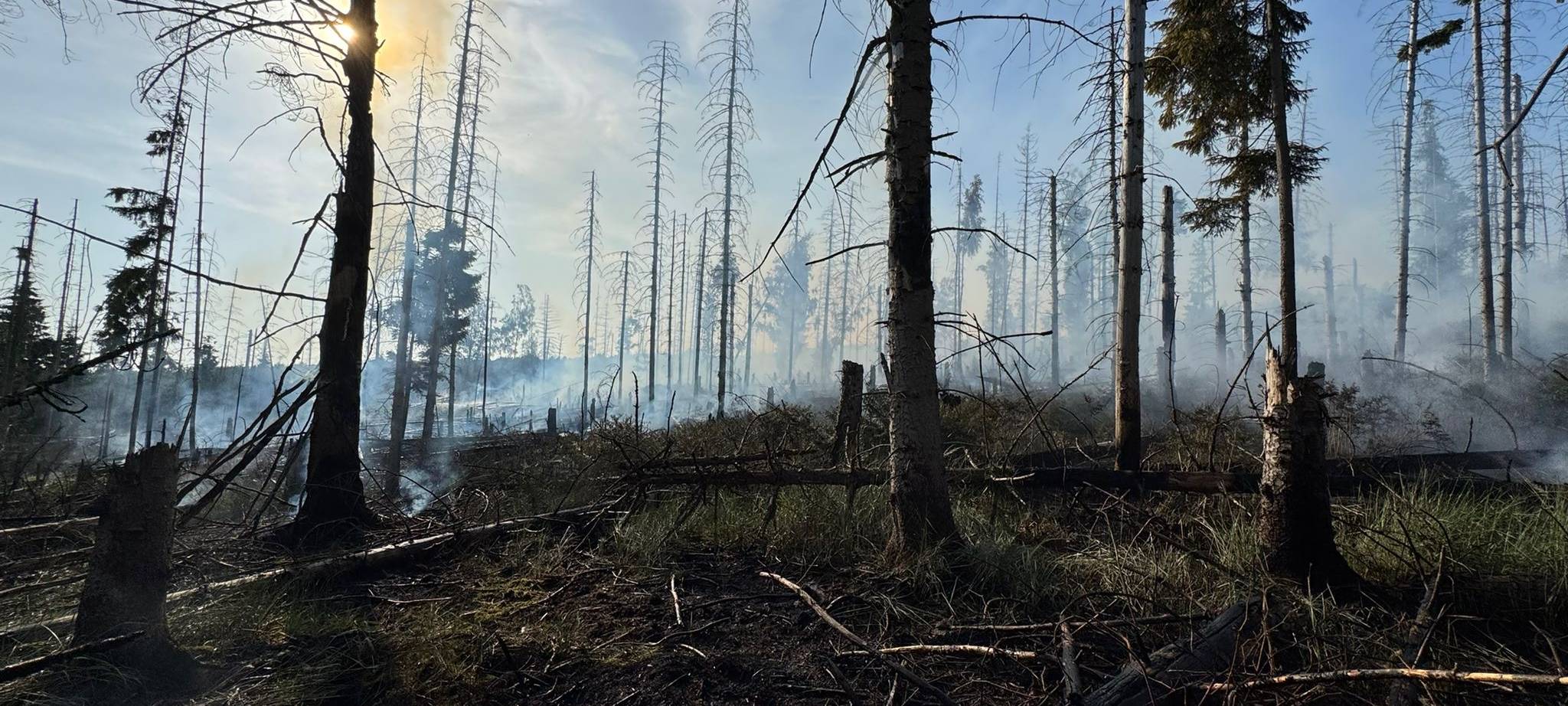 Waldbrand am Möhnesee unter Kontrolle