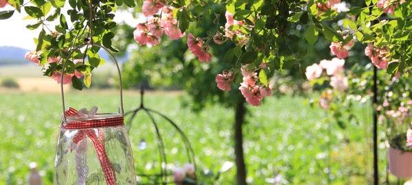 Verweilen und genießen: Insgesamt 16 Gärten öffnen an den Wochenenden 14. und 15. Juni, 5. und 6. Juli sowie 13. und 14. September im Kreis Soest ihre Pforten.