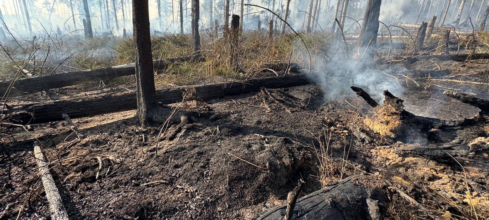 Waldbrand am Möhnesee unter Kontrolle