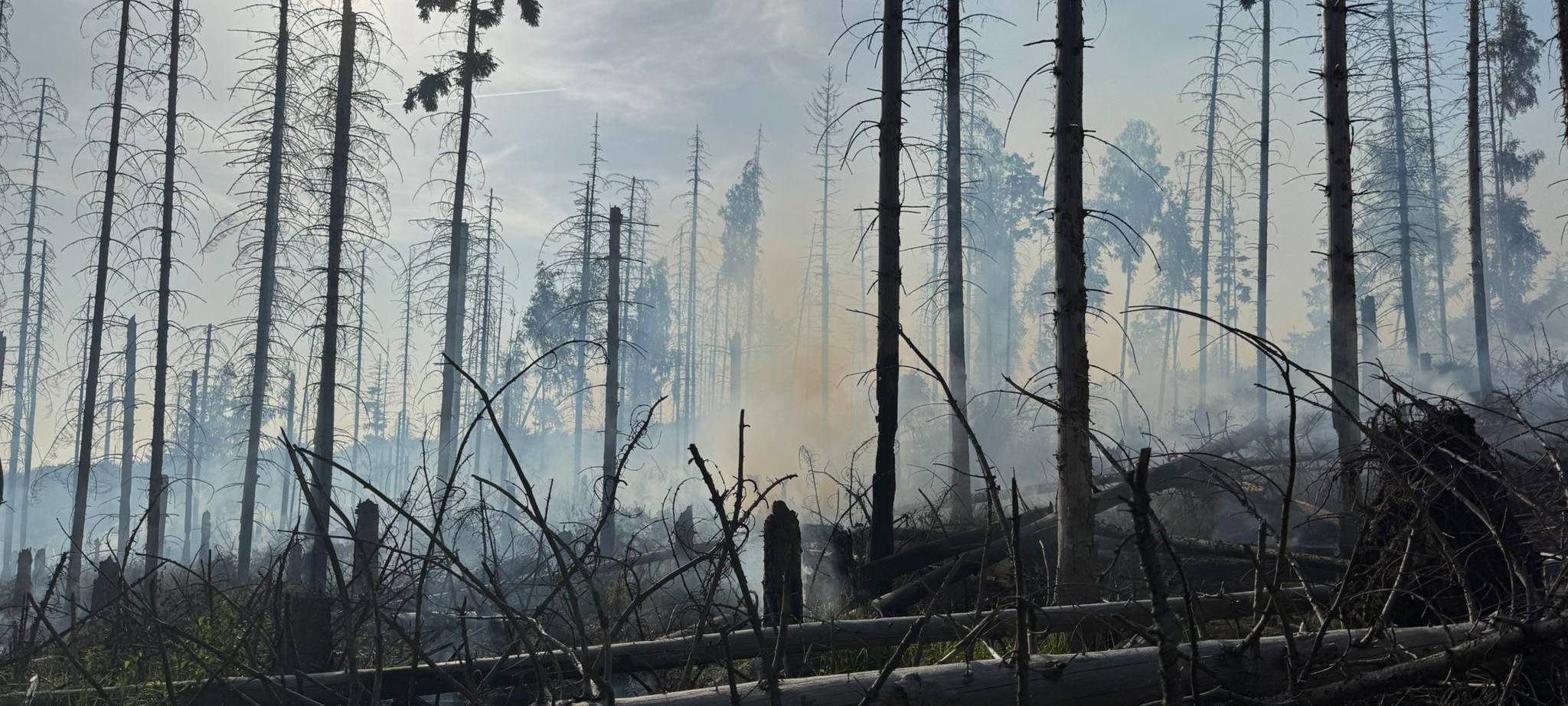 Waldbrand am Möhnesee unter Kontrolle