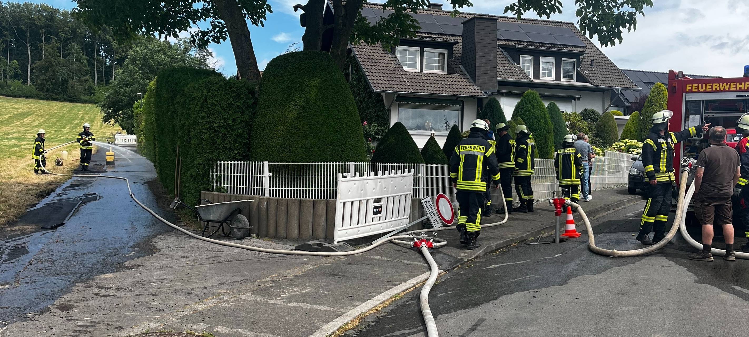 Ense-Waltringen: Bautrupp setzt Hecke und Pavillon in Brand