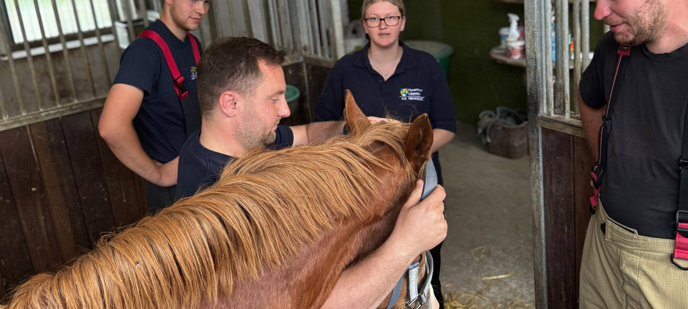 Übung im Stall: Feuerwehr trainiert Ernstfall mit Pferden