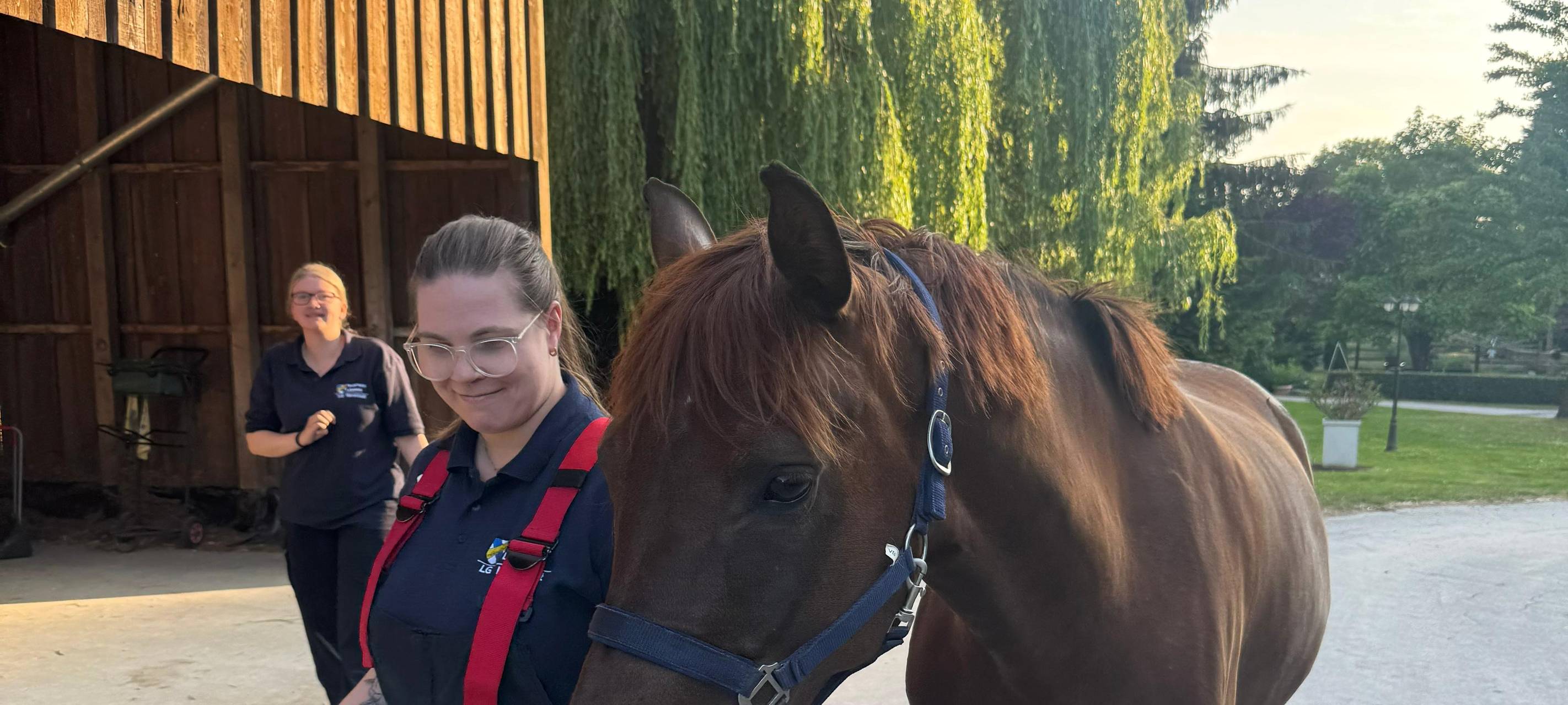Übung im Stall: Feuerwehr trainiert Ernstfall mit Pferden