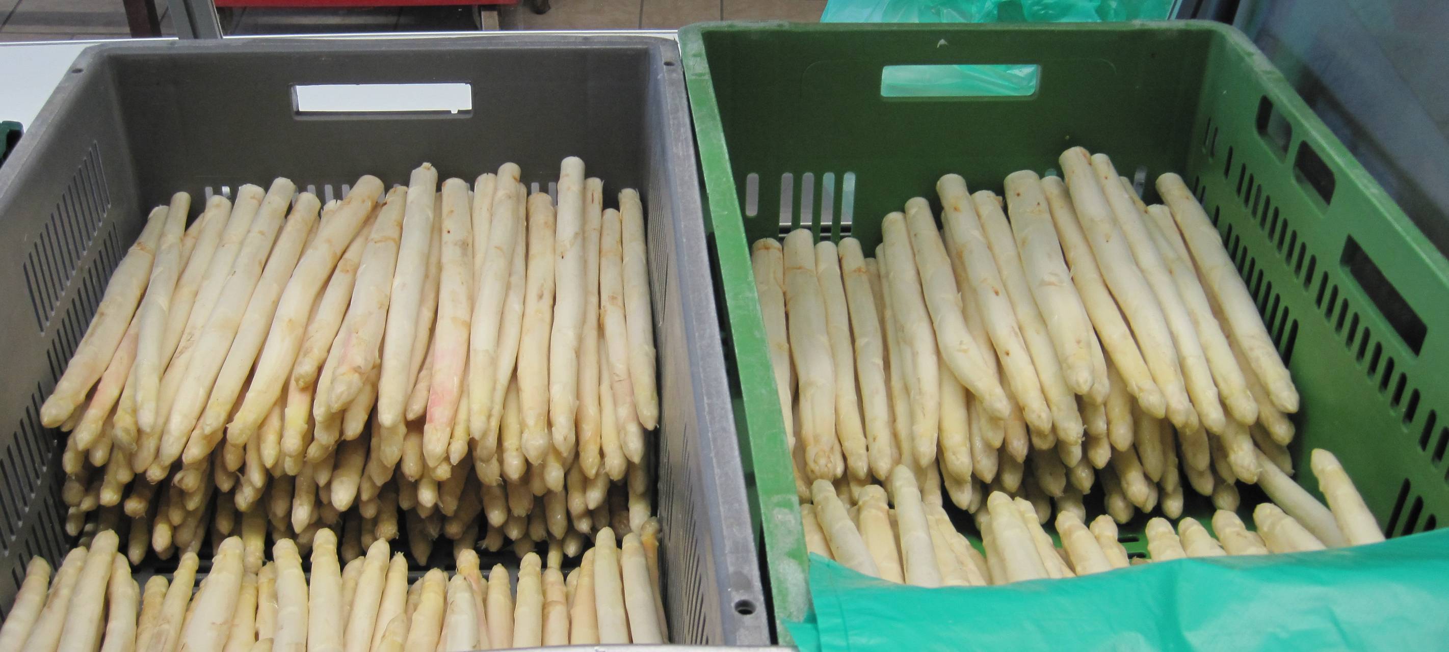 Spargel-Saison 2025 endet im Kreis Soest