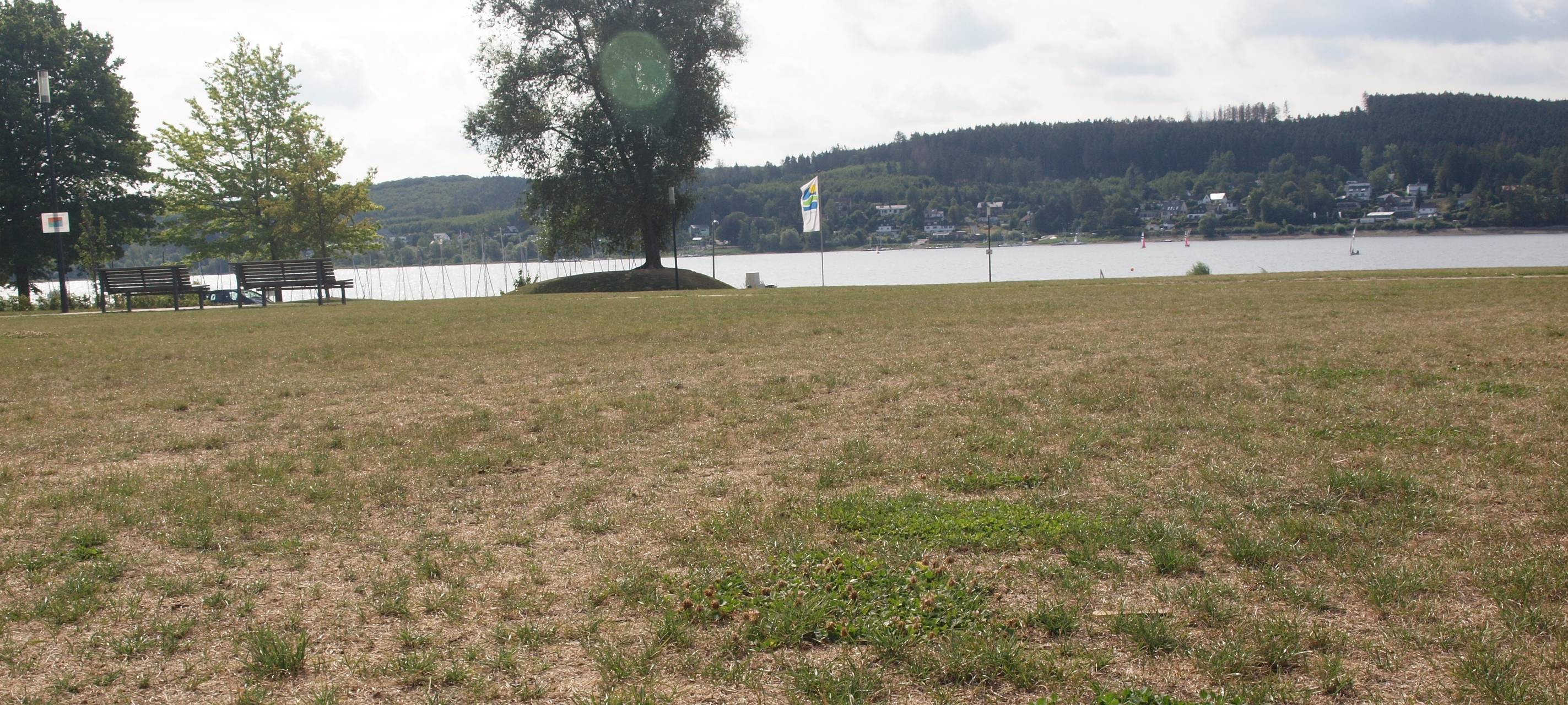 Trockenheit: Polizei warnt nach Bränden am Möhnesee