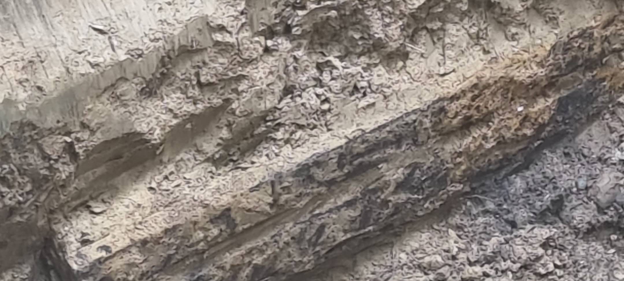 Werl: Bombenverdacht nicht bestätigt