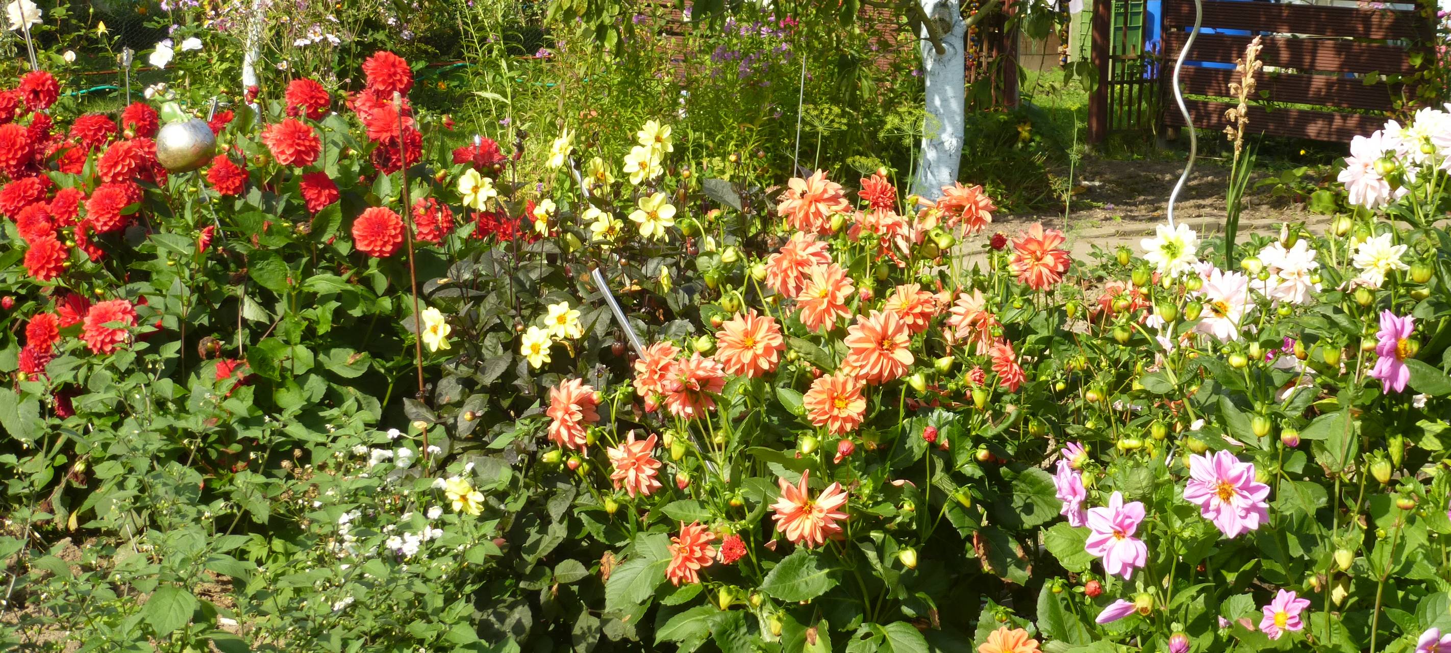 Kreis Soest: Privatgärten öffnen ihre Tore