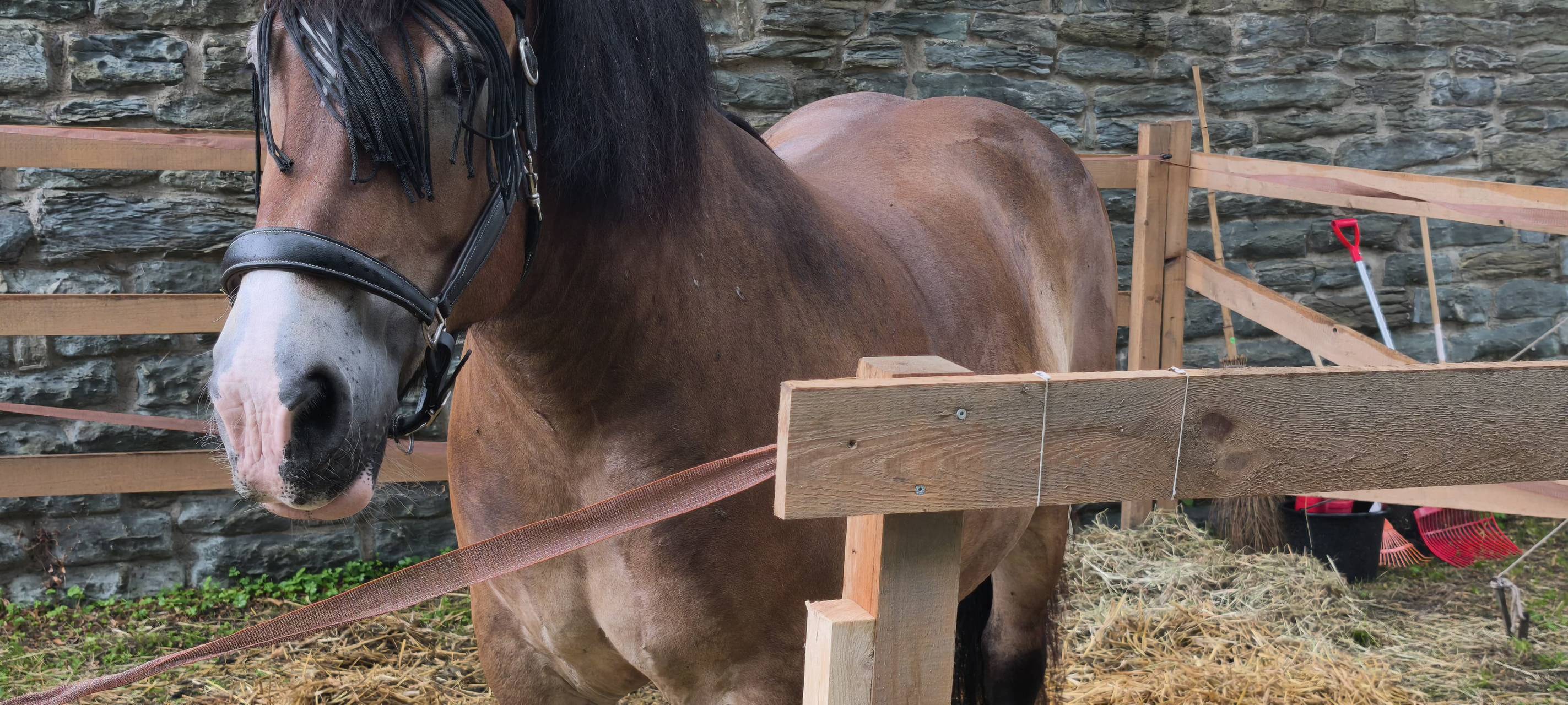 Trotz Regenwetter gut besuchte Soester Fehde