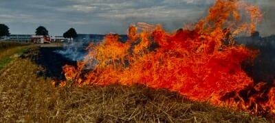 Feldbrand in Geseke