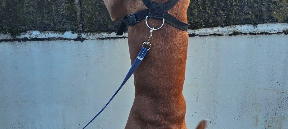 Ihr habt uns eure schönsten Bilder vom Möhnesee geschickt!