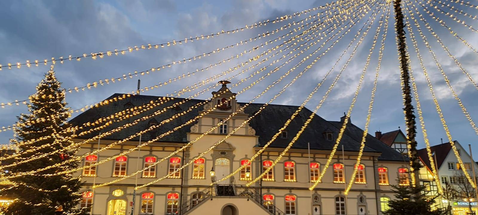 Lippstadt: Weihnachtsbaum für Rathausplatz gesucht