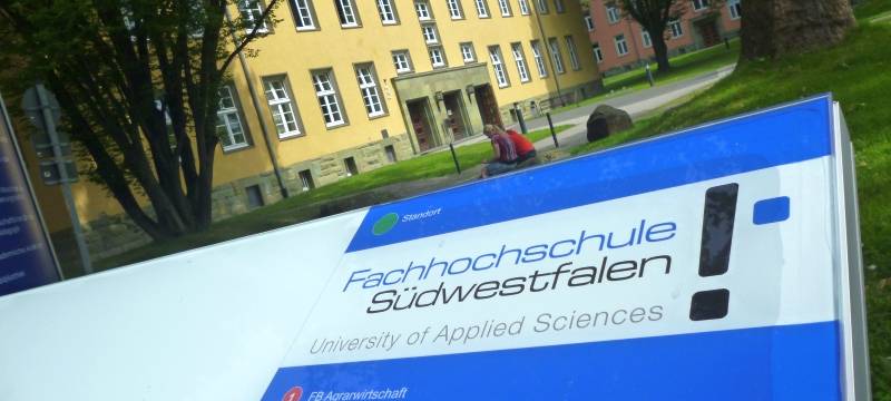 Institut für Waldforschung geplant
