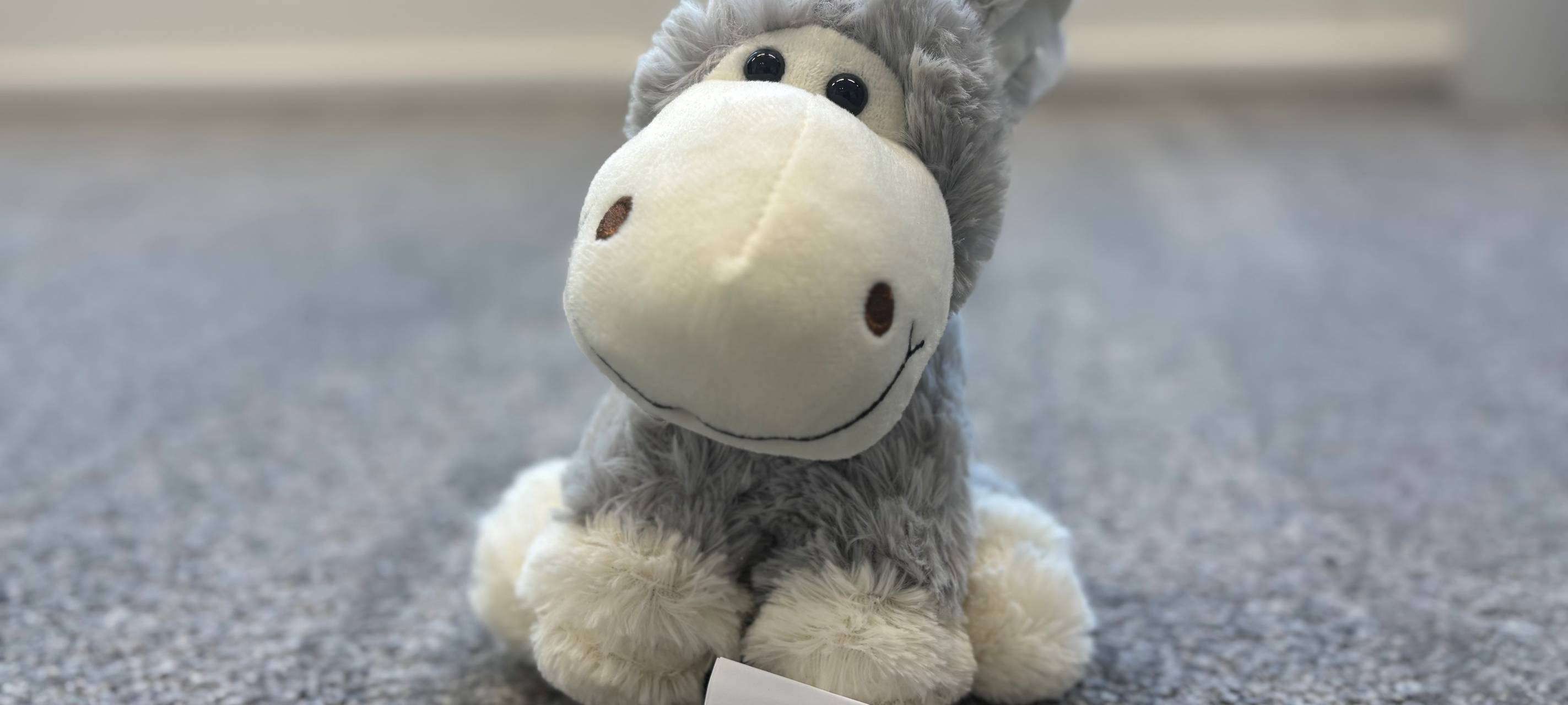 Teddykrankenhaus: Kindern die Angst vor Ärzten nehmen