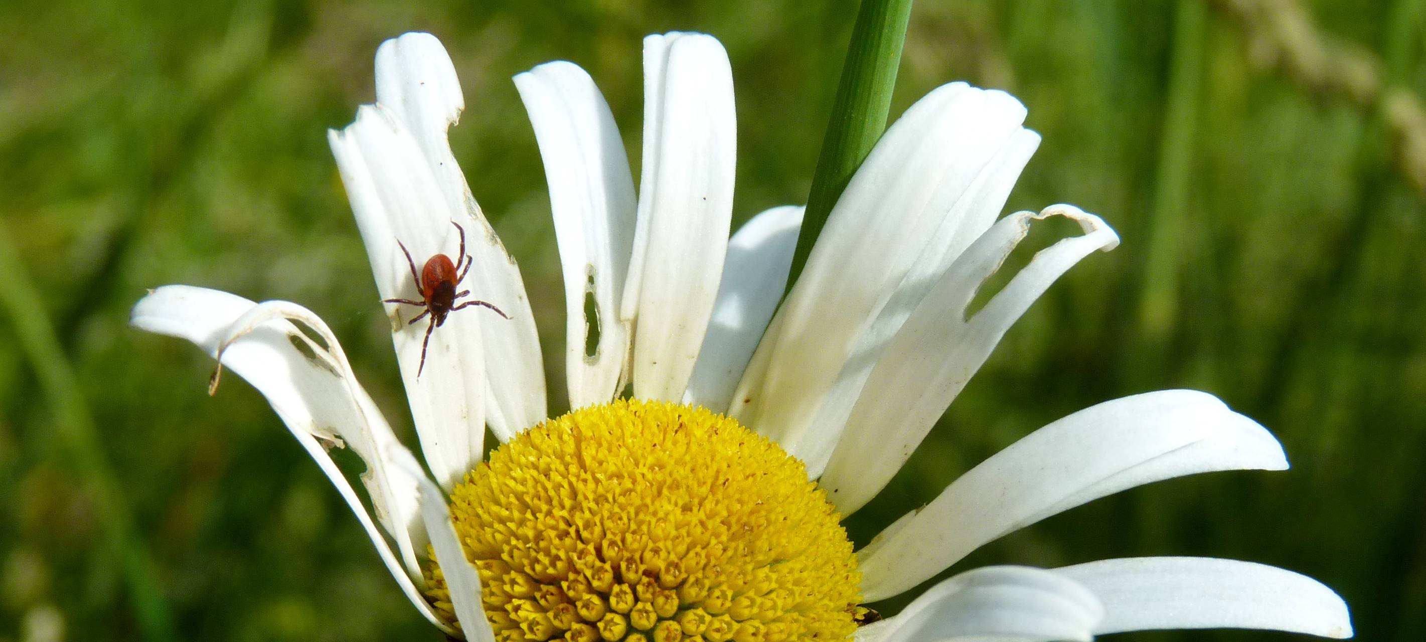 Hausärztliche Versorgung in Erwitte gesichert