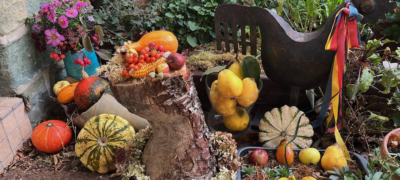 So wird der Garten im Kreis Soest fit für den Herbst