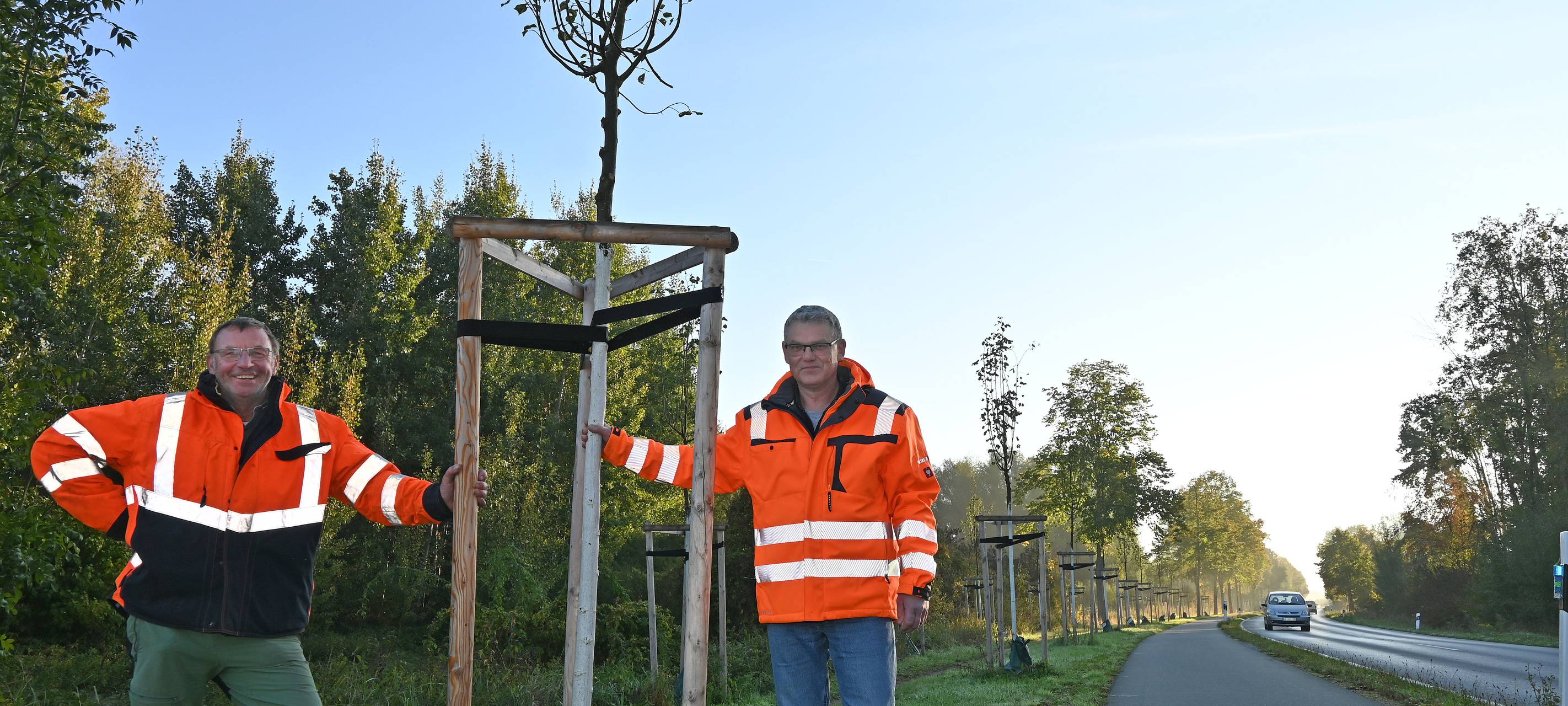 Nach Tornado: 200 Linden an Kreisstraße nachgepflanzt