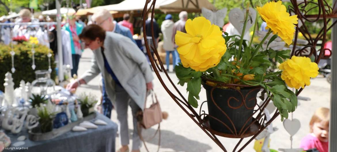 Veranstaltungen an diesem Wochenende im Kreis Soest